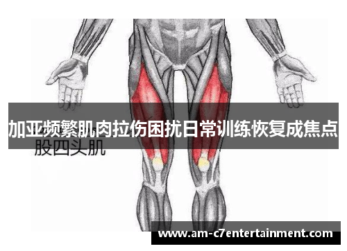 加亚频繁肌肉拉伤困扰日常训练恢复成焦点