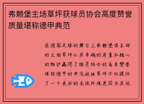 弗赖堡主场草坪获球员协会高度赞誉质量堪称德甲典范 弗赖堡主场草坪获球员协会高度赞誉质量堪称德甲典范